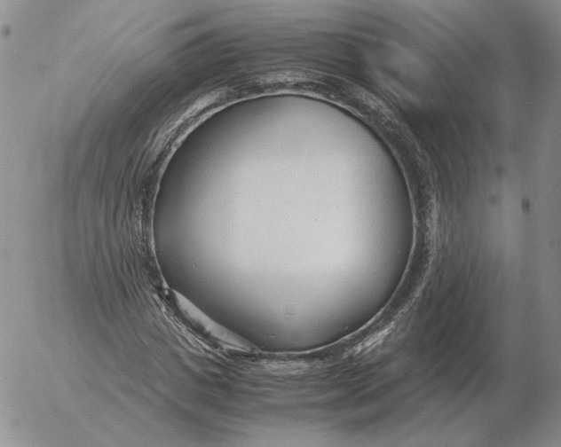 X0000053110825200508012122