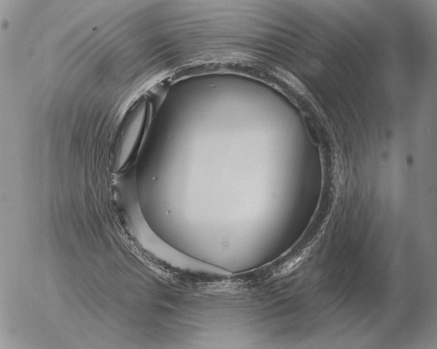 X0000053110826200508012122