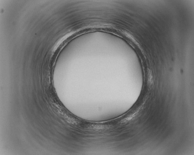 X0000053110829200508012122