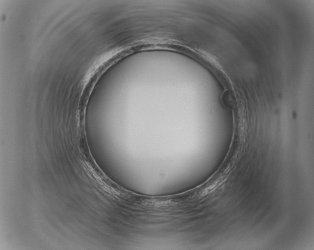 X0000053110831200508012122