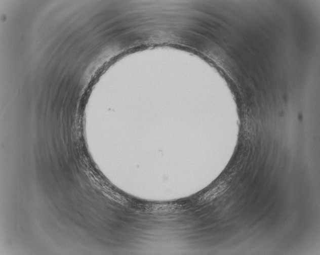 X0000053110832200508012122