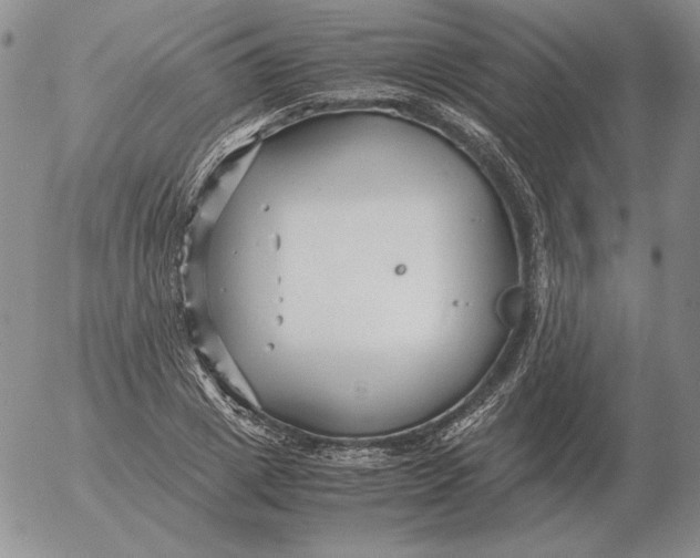 X0000053110833200508012122