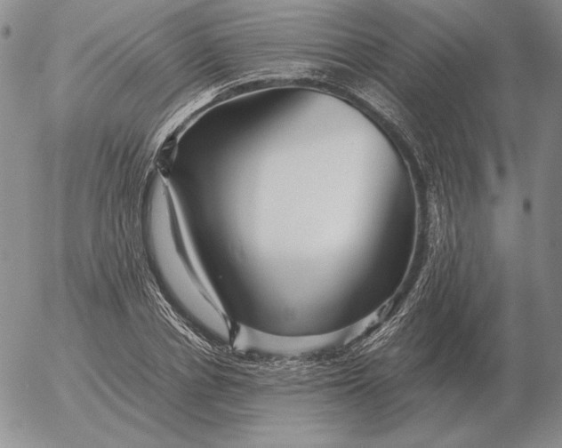 X0000053110834200508012122