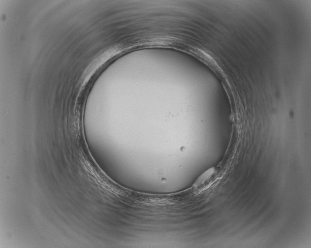 X0000053110835200508012122