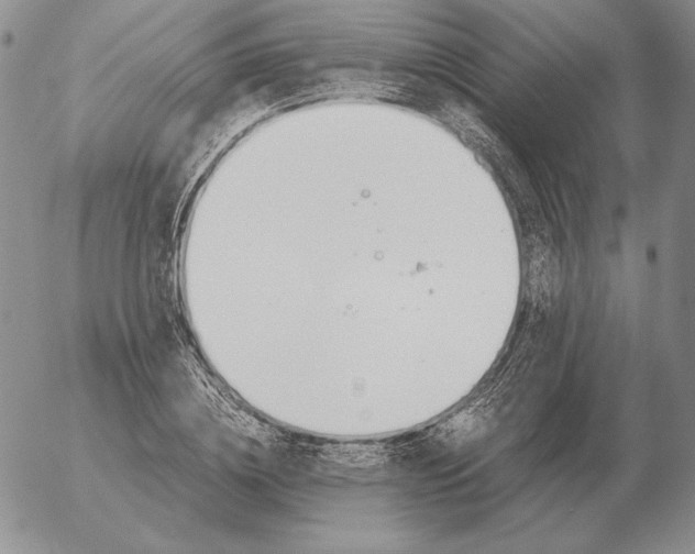 X0000053110836200508012122