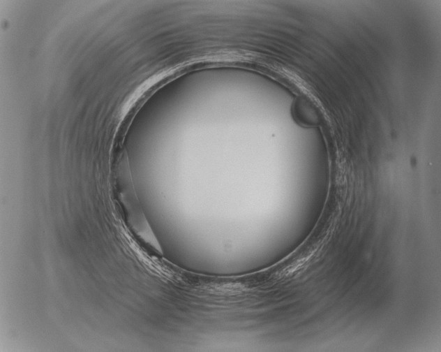 X0000053110837200508012122