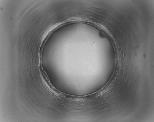 X0000053110839200508012122