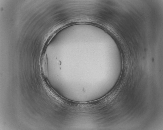 X0000053110840200508012122