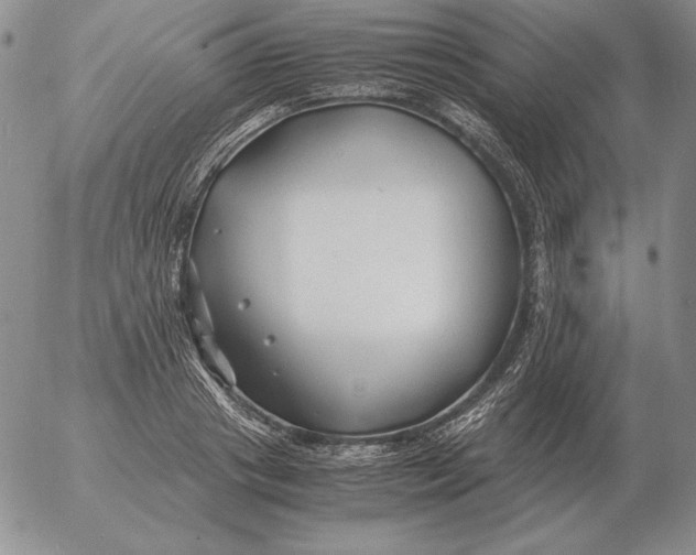 X0000053110841200508012122