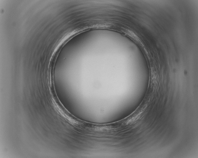 X0000053110843200508012122