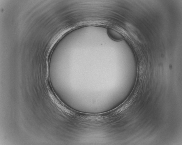 X0000053110844200508012123