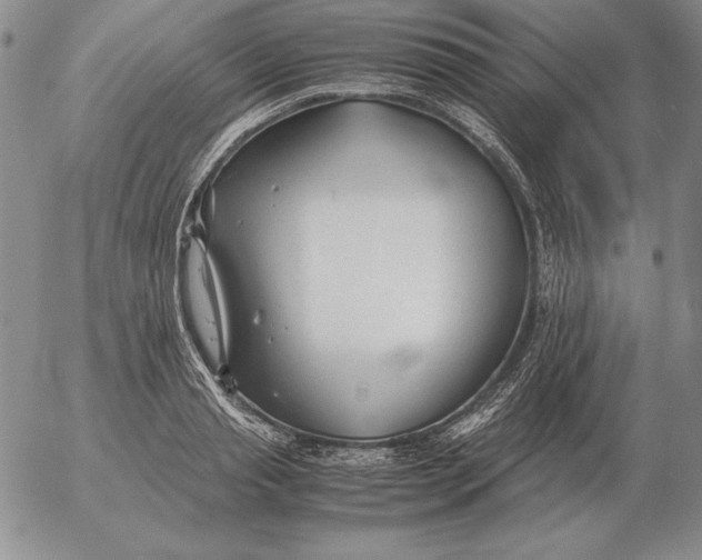 X0000053110845200508012123