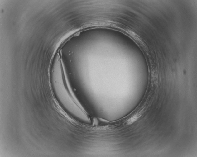 X0000053110846200508012123