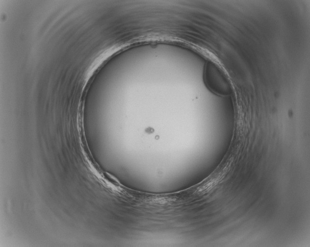 X0000053110847200508012123