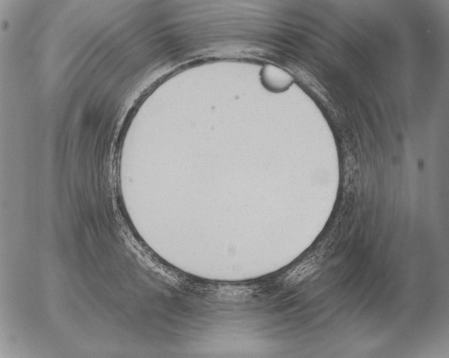 X0000053110848200508012123