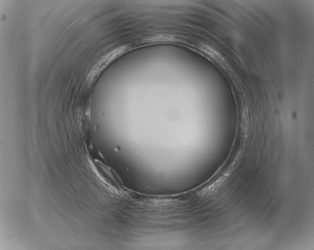 X0000053110849200508012123