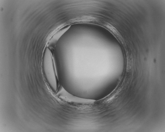 X0000053110850200508012123