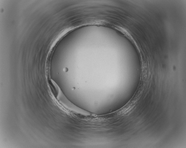 X0000053110851200508012123