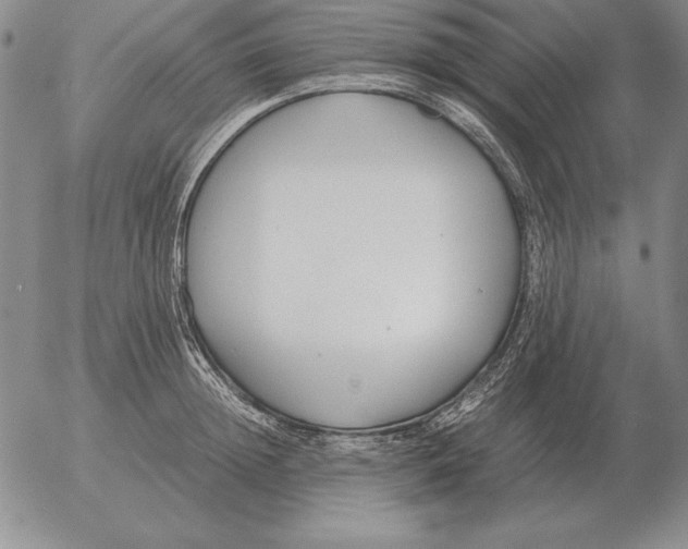 X0000053110852200508012123