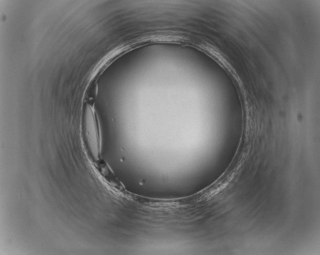 X0000053110853200508012123