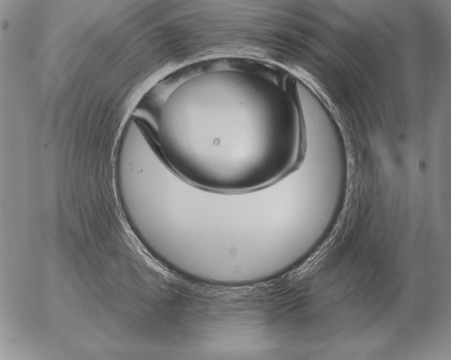 X0000053110854200508012123