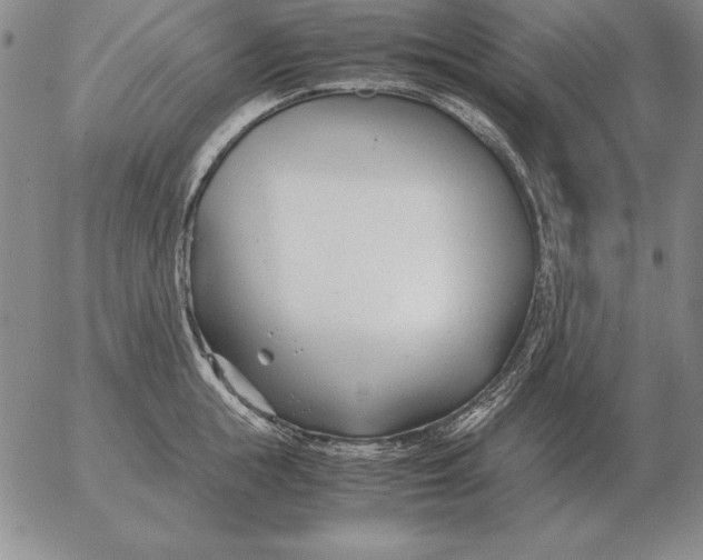 X0000053110855200508012123