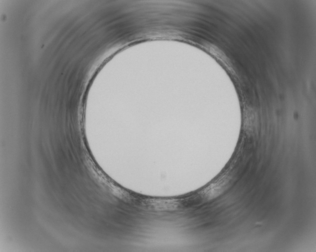 X0000053110856200508012123