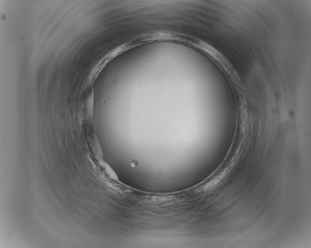 X0000053110857200508012123