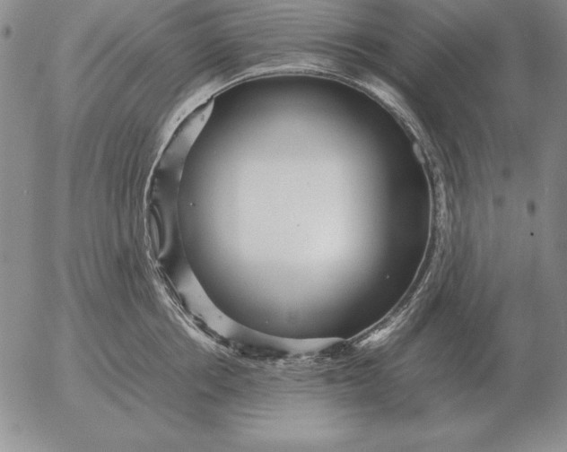 X0000053110858200508012123