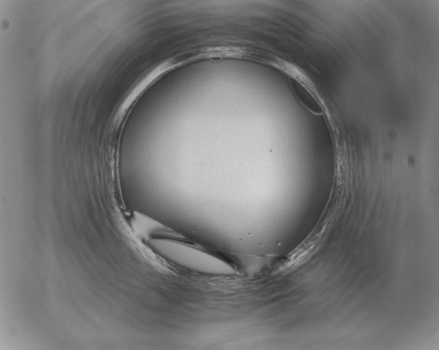 X0000053110859200508012123