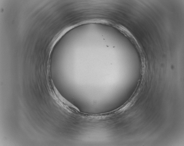 X0000053110860200508012123