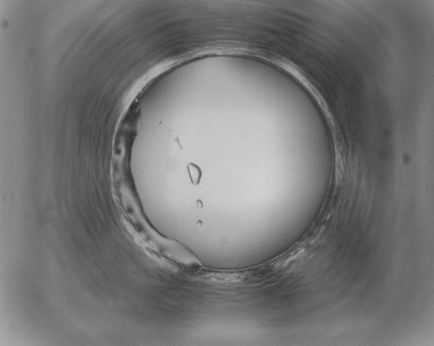 X0000053110861200508012123