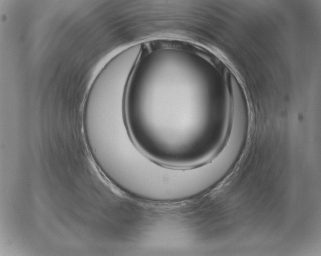 X0000053110862200508012123