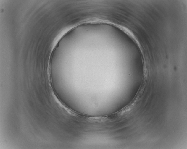 X0000053110863200508012123