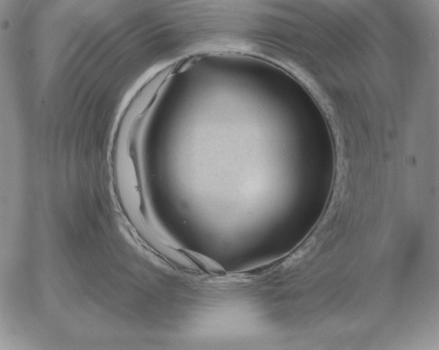 X0000053110864200508012123