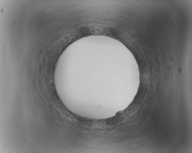 X0000053110865200508012122