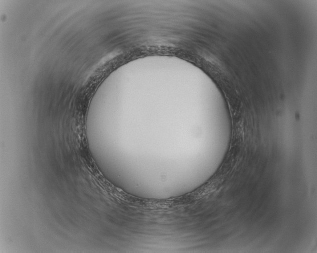 X0000053110870200508012122