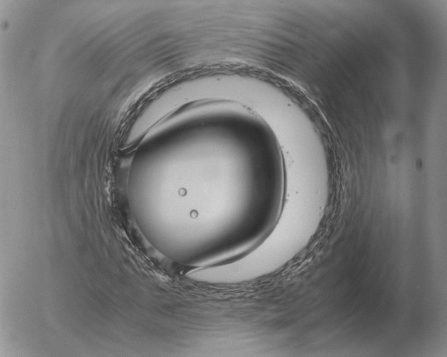 X0000053110871200508012122