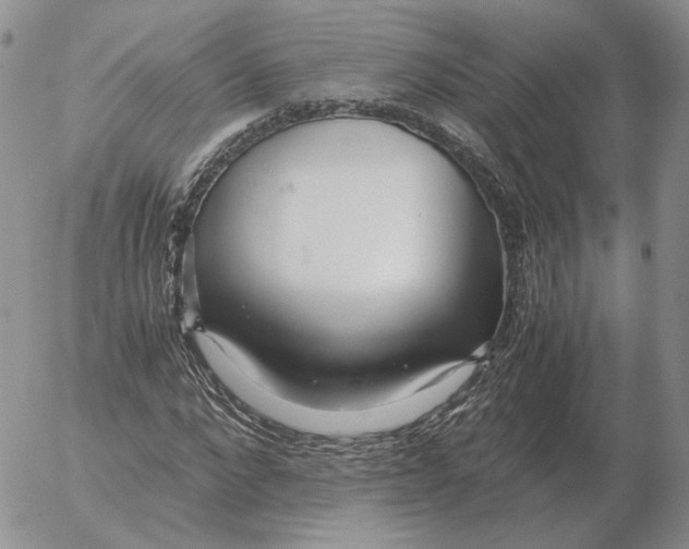 X0000053110872200508012122