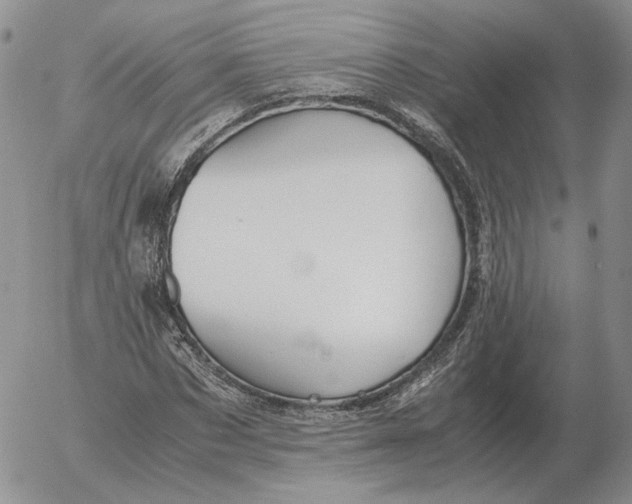 X0000053110873200508012122