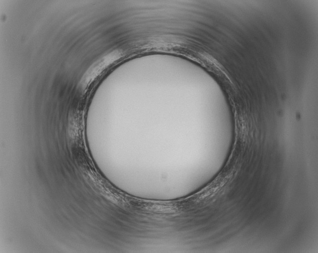 X0000053110874200508012122