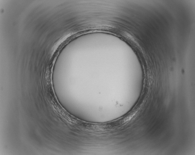 X0000053110875200508012122