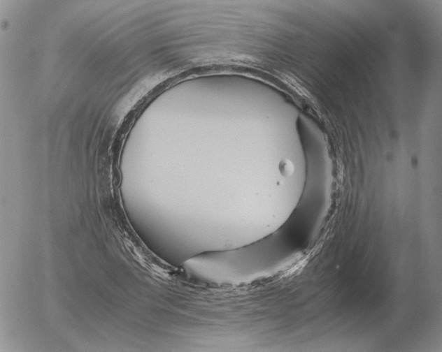 X0000053110877200508012122