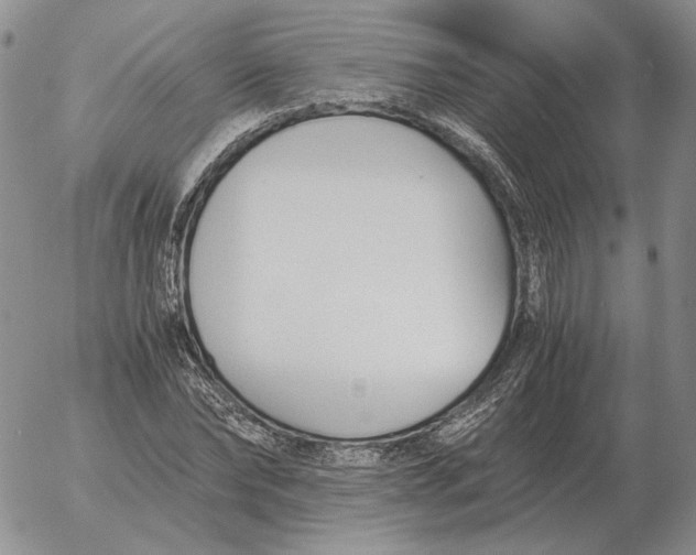 X0000053110878200508012122