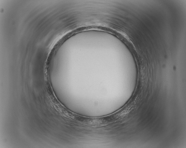 X0000053110879200508012122