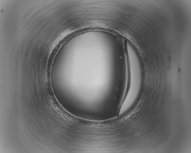 X0000053110880200508012122