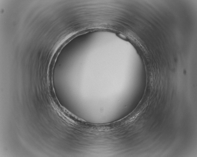 X0000053110884200508012122