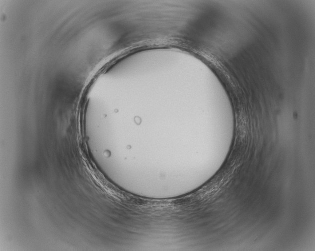 X0000053110886200508012122