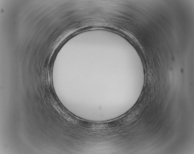 X0000053110887200508012122