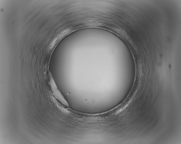 X0000053110889200508012122